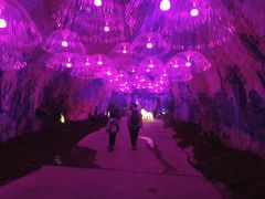 -栾川竹海野生动物园