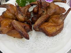 -鸽鸟轩(石岐店)