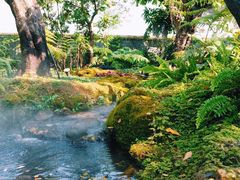 -Chom Cafe and Restaurant