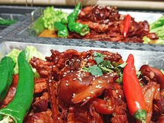 -邵年鸽(杨庄店)