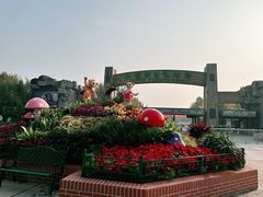 -北京野生动物园