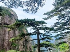 -黄山风景区
