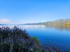 -三星授权体验店(西新街店)