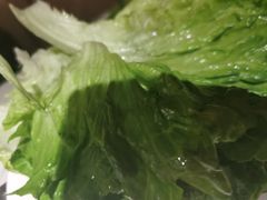 -春天烤肉自助餐厅(南内环店)