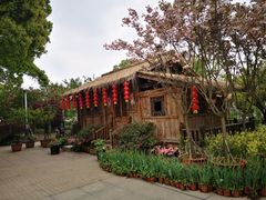 -南山植物园