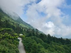 -峨嵋山金顶
