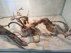 -喵园·猫主题咖啡厅·撸猫·猫咖(国贸店)