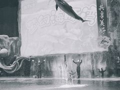 -华夏文旅海洋公园