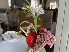 -蝶舍·MAISON PAPILLON