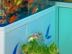 -循礼门鲜花花市(武汉循礼门店)