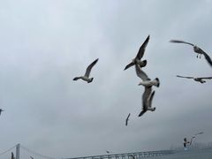 -星海广场