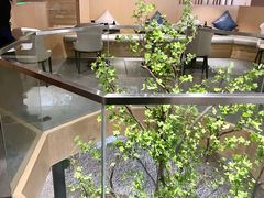 -稻早料理美术馆(城阳店)