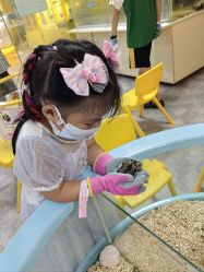-神奇动物撸宠馆·羊驼·小浣熊·异宠(豫园店)