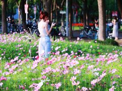 -华东政法大学(松江校区)