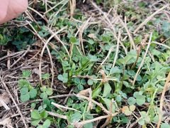 -汉长安城未央宫国家考古遗址公园