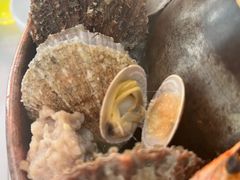 -一口猪海鲜浑锅·东北家常菜