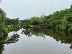 -浙江安吉JW万豪酒店