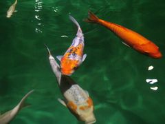 -聊城海底世界