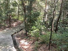 -铁山坪森林公园