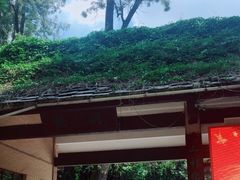 -桃花涧