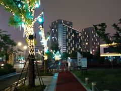 -聚龙湖公园