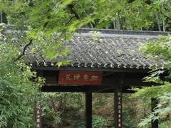 -杭州植物园