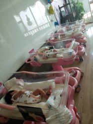 -喜宝悉贝月子会所(锦江店)