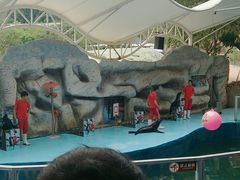 -泉州海丝野生动物世界