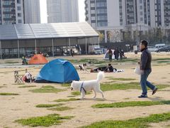 -栖露营camping·天幕烧烤·团建拓展·采摘营地