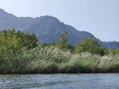 -楠溪江风景名胜区