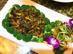 -老虎滩船说·海胆水饺·大连海鲜(老虎滩店)