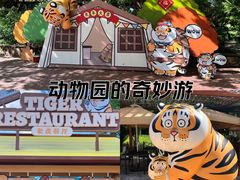 -野生动物园-停车场