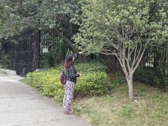 -鹤山碧桂园凤凰酒店