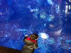-长隆海洋王国自助餐厅(横琴湾店)