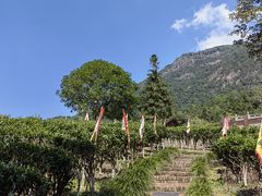 -姑婆山旅游区