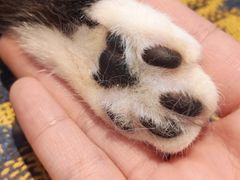 -平行世界·猫咖(首经贸店)