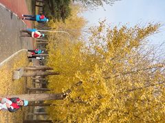 -绿堤公园