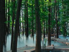 -东湖落雁景区