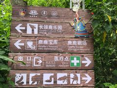 -海南热带野生动植物园