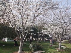 -堤角公园