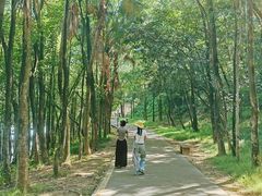 -三水森林公园