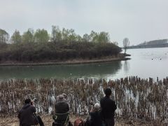 -丁香湖公园