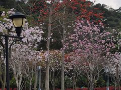 -张钰强中医正骨推拿连锁(唐家人才公寓店)