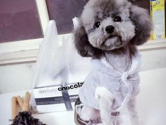 -Awfully Chocolate(来福士广场店)