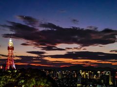 -金鸡山公园