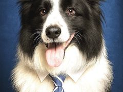 -艾贝尔宠物医院 ·内科全科(梁溪路店)