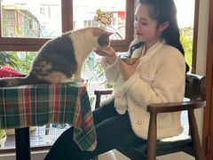 -有猫主题·治愈系猫咖(曾厝垵店)