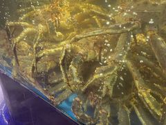 -蟹之国·精品蟹料理(极地店)