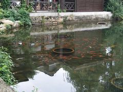 -白马涧龙池景区