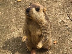 -常州淹城野生动物世界